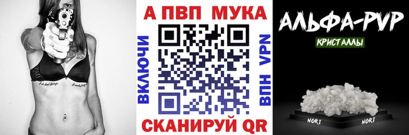 A PVP СК Норильск