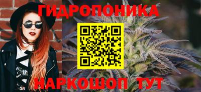 дурь Гай