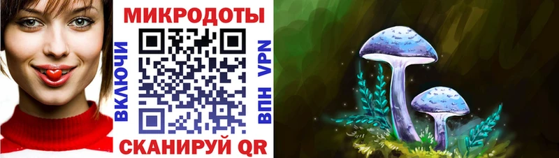 Псилоцибиновые грибы Magic Shrooms  где купить наркоту  Норильск 