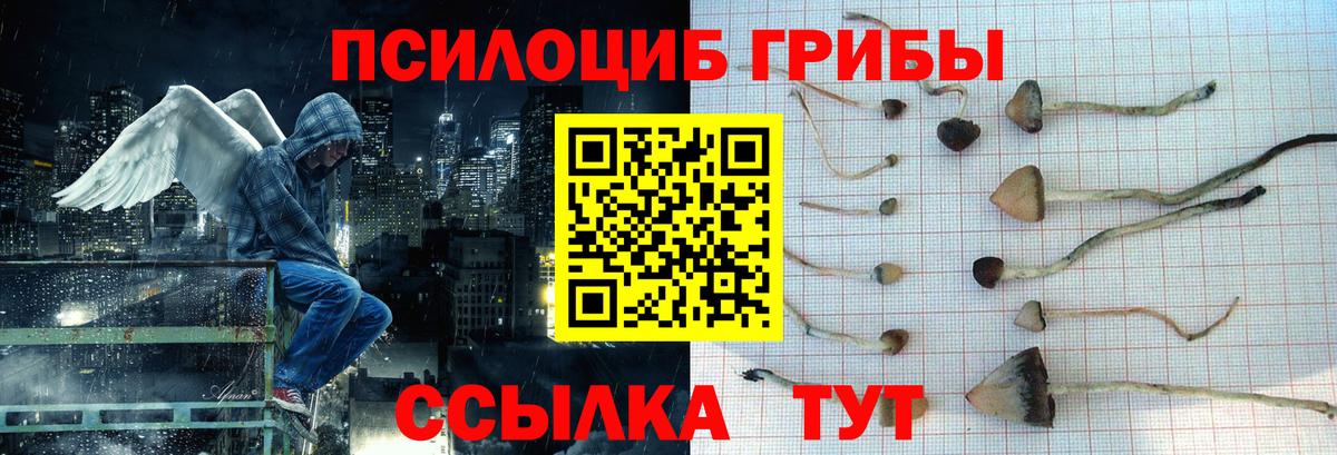 Псилоцибиновые грибы MAGIC MUSHROOMS Норильск