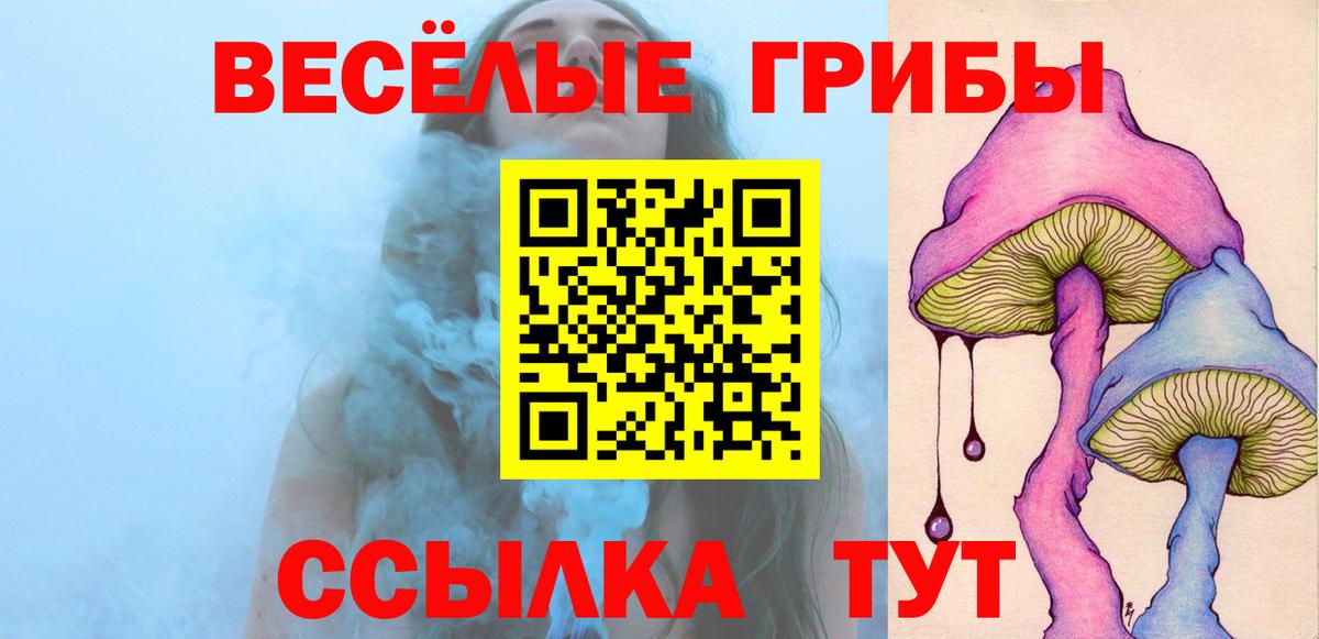 Псилоцибиновые грибы GOLDEN TEACHER  Вход с VPN  Норильск 